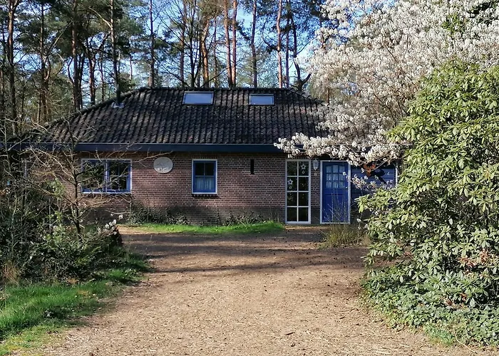 Holiday Home Bos En Heide