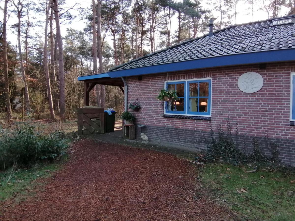 Bos En Heide