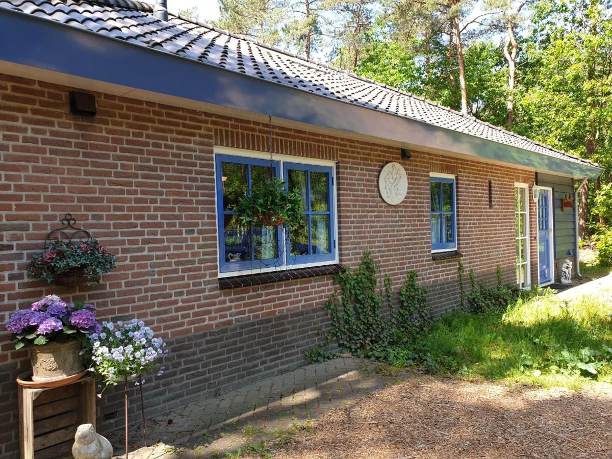 Bos En Heide * Otterlo