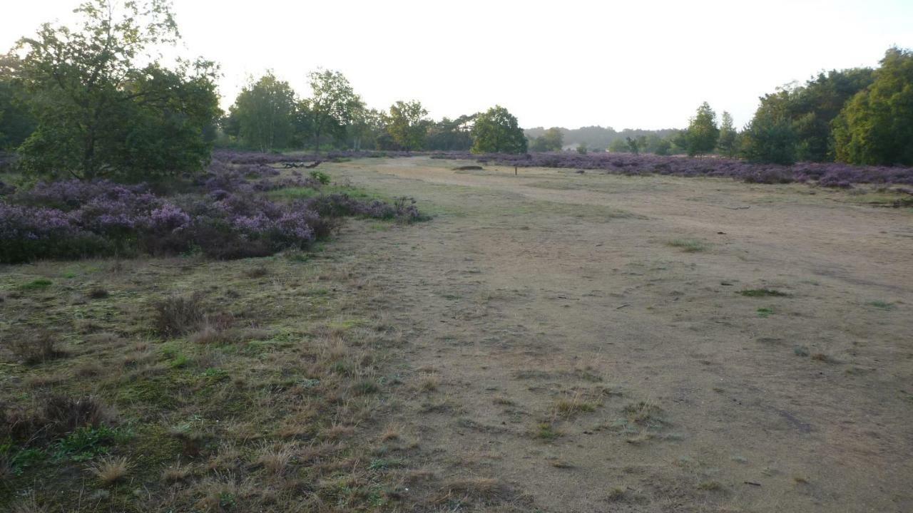 Bos En Heide Holiday home