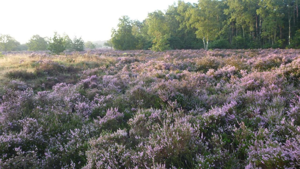 Bos En Heide Otterlo